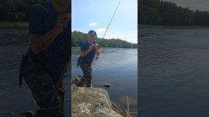 Спининг блесна шумка катушка рыбалка