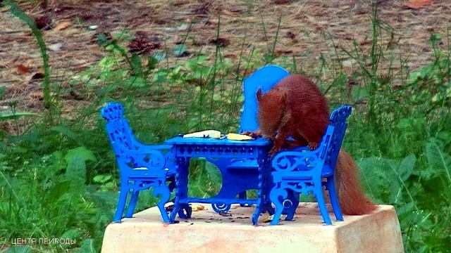 КРАСОТА И ЛЮБОВЬ