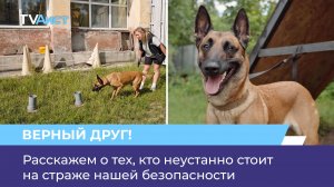 Расскажем о тех, кто неустанно стоит на страже нашей безопасности