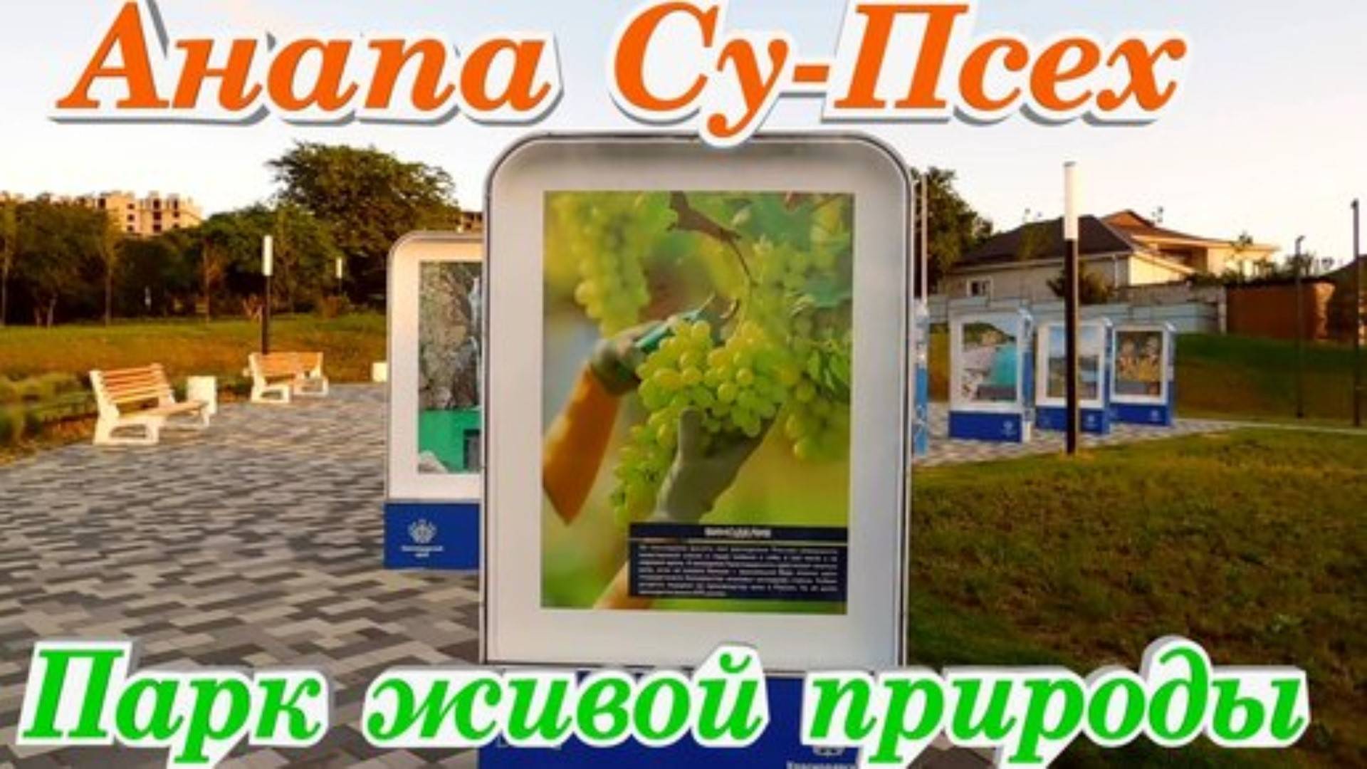 Анапа Су Псех Красивый Парк интересные факты