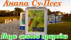 Анапа Су Псех Красивый Парк интересные факты