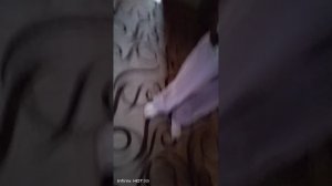 прятки