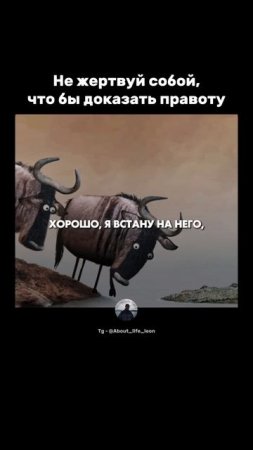 Зачем я тратил время на доказательства.. Tg - @About_life_leon  #успех #мотивация  #саморазвитие