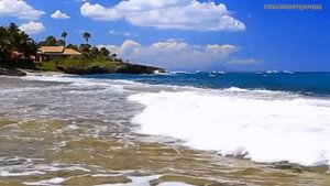 Истории из жизни. Счастлива без него. Не выдуманные истории