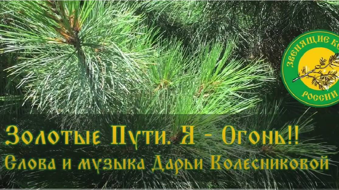 Наша Дарья  - По Золотому пути (авторская)