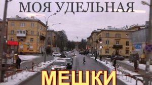 Пчеловольчики. 21-06-2025