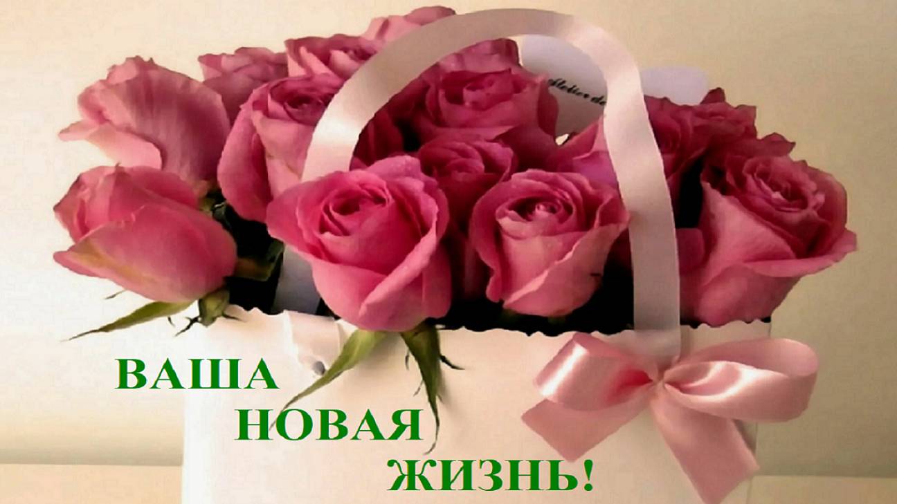 ВАША НОВАЯ ЖИЗНЬ! ЧТО ВАМ ПО СУДЬБЕ?