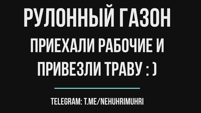 Рулонный газон, приехали рабочие и привезли траву:-)