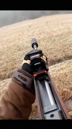 Охота на Косулю 🦌🎯