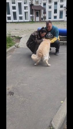 1000489794.mp4