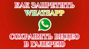 Как Сделать чтобы Фото и Видео с Ватсапа Не Сохранялись в Галерее и Памяти ⚠️ [Zatriz 2025]