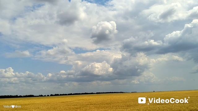 РОДНАЯ ЗЕМЛЯ ♥️ ТАВРИЧЕСКИЕ ПРОСТОРЫ ♥️ МЕЛИТОПОЛЬЩИНА