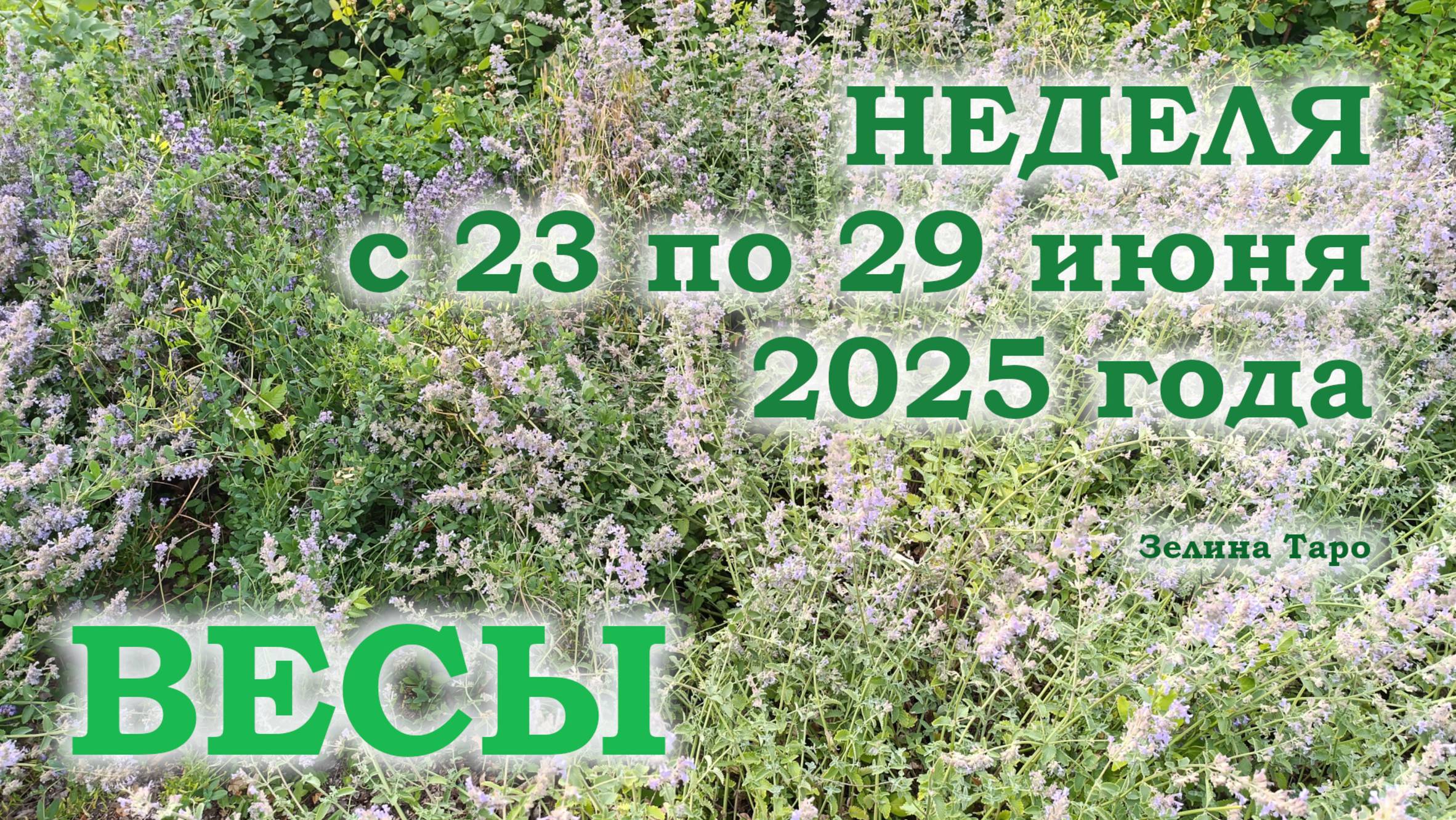 ВЕСЫ | ТАРО прогноз на неделю с 23 по 29 июня 2025 года