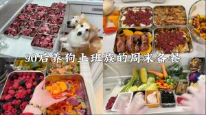 Семья из 1 человека и 2 собак готовит блюда