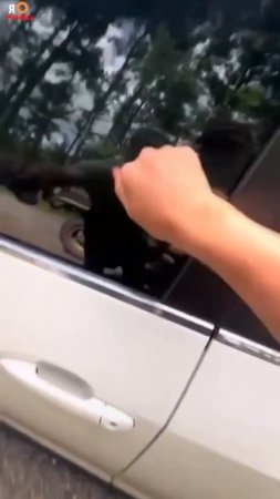 Подборка ДТП и аварий, снятых на видеорегистратор