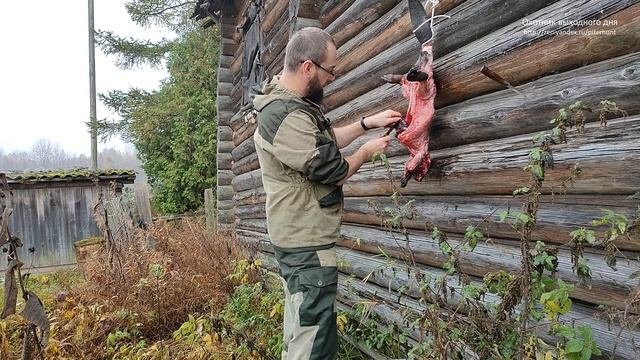 Потрошение бобра