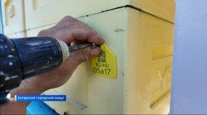 В Иркутской области начали обязательную маркировку пчел — каждому рою присвоят уникальный номер, пас