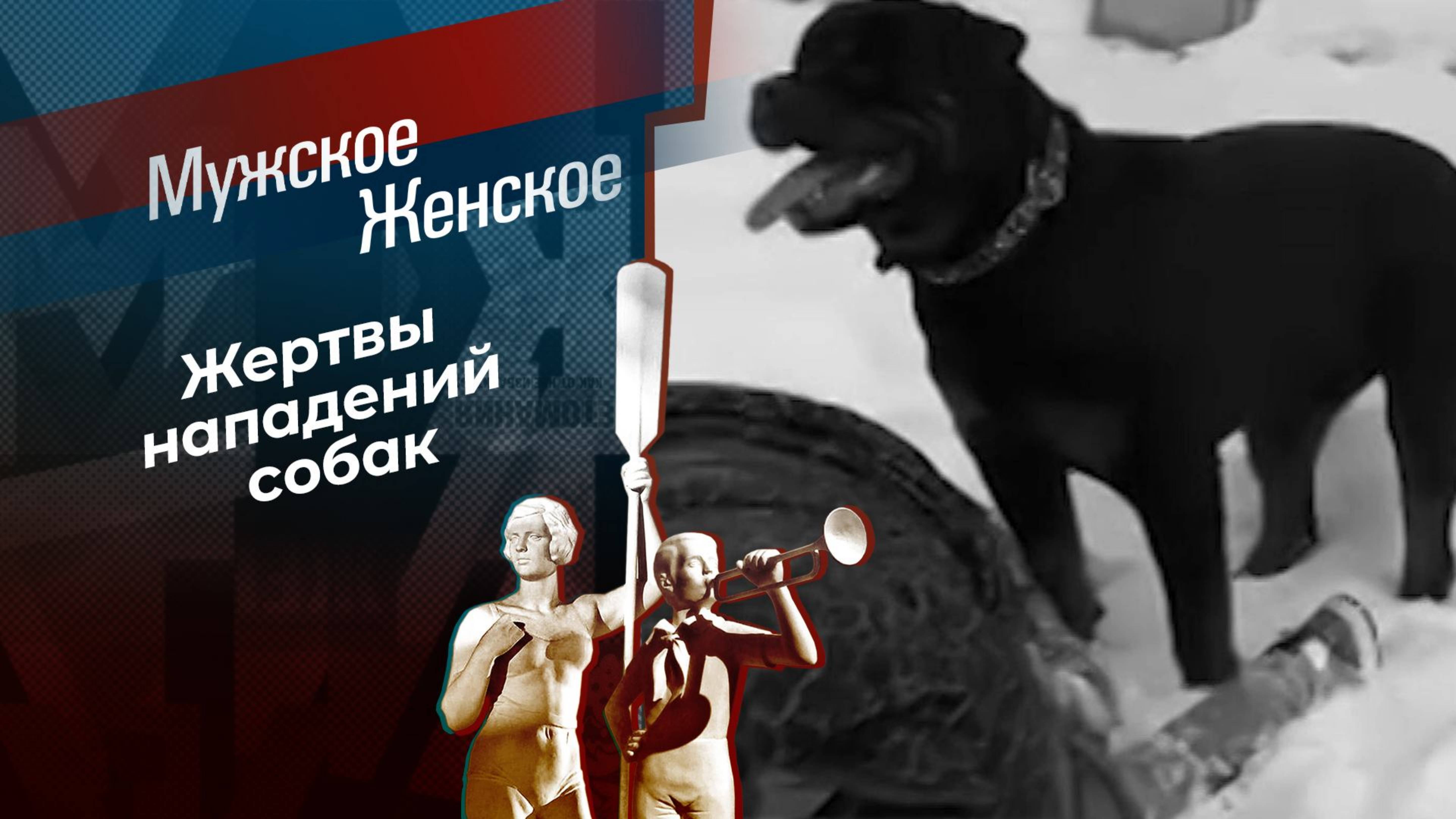 Осторожно, злой хозяин! Мужское / Женское
