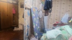 картонный дальнобойщик.