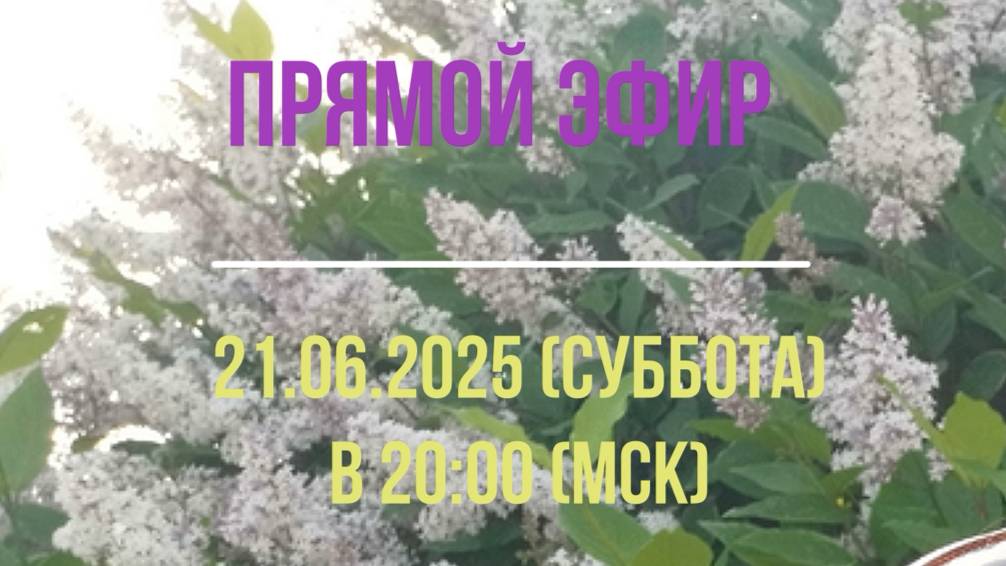 Анонс эфира 21.06.2025