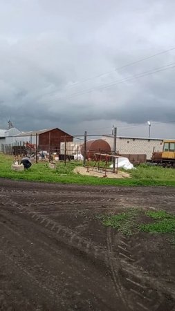 забор