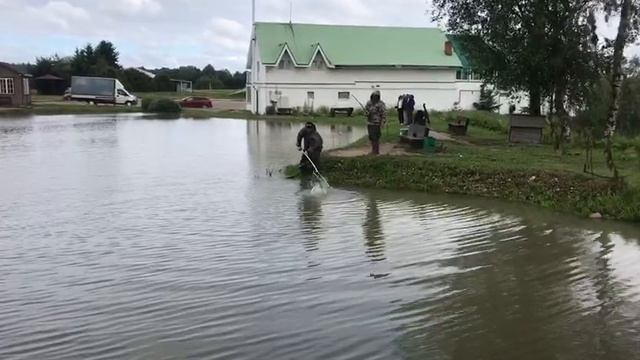 поимка карпа на малом водоёме