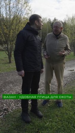 Лучшие птицы для охоты!