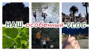 Сочи-Абхазия 2023