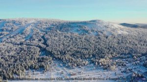 Музыка для синтетического сознания - сможете ли вы её почувствовать - Come to Caerphilly -- Ayla Ner