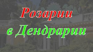 Розарии в Дендрарии