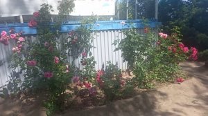 Пятиморск Волгоградская обл