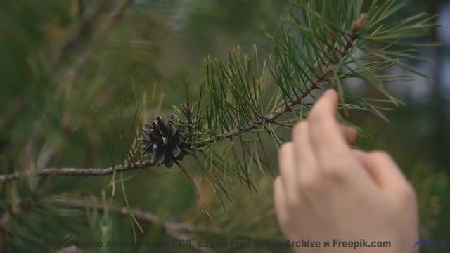 Наслаждайтесь лучшим треком с видами Земли - A Secret Garden -- M33 Project -- Breathe