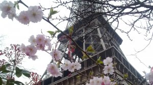 НЕПЛОХО В ПАРИЖЕ, НО МОСКВЫ ПОЖИЖЕ