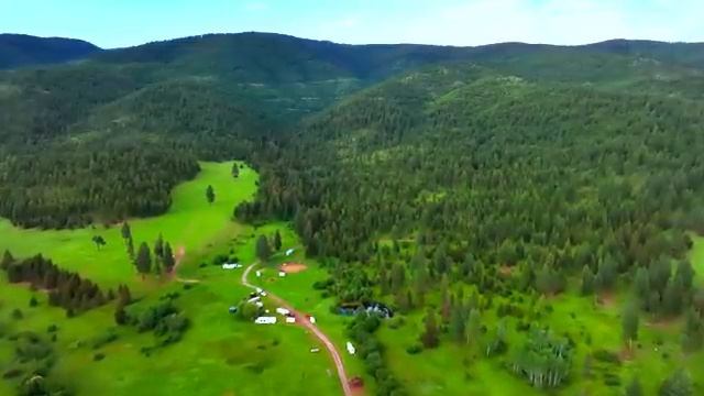 Тихая музыка природы среди лесов и ветра — Часть 8
