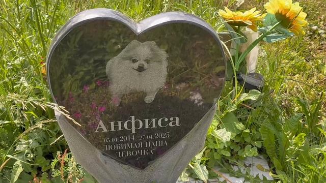 ПАМЯТНИКИ ЗА 2 МИЛЛИОНА НА КЛАДБИЩЕ ДОМАШНИХ ЖИВОТНЫХ В МОСКВЕ | МАШКИНСКОЕ ШОССЕ 06.2025