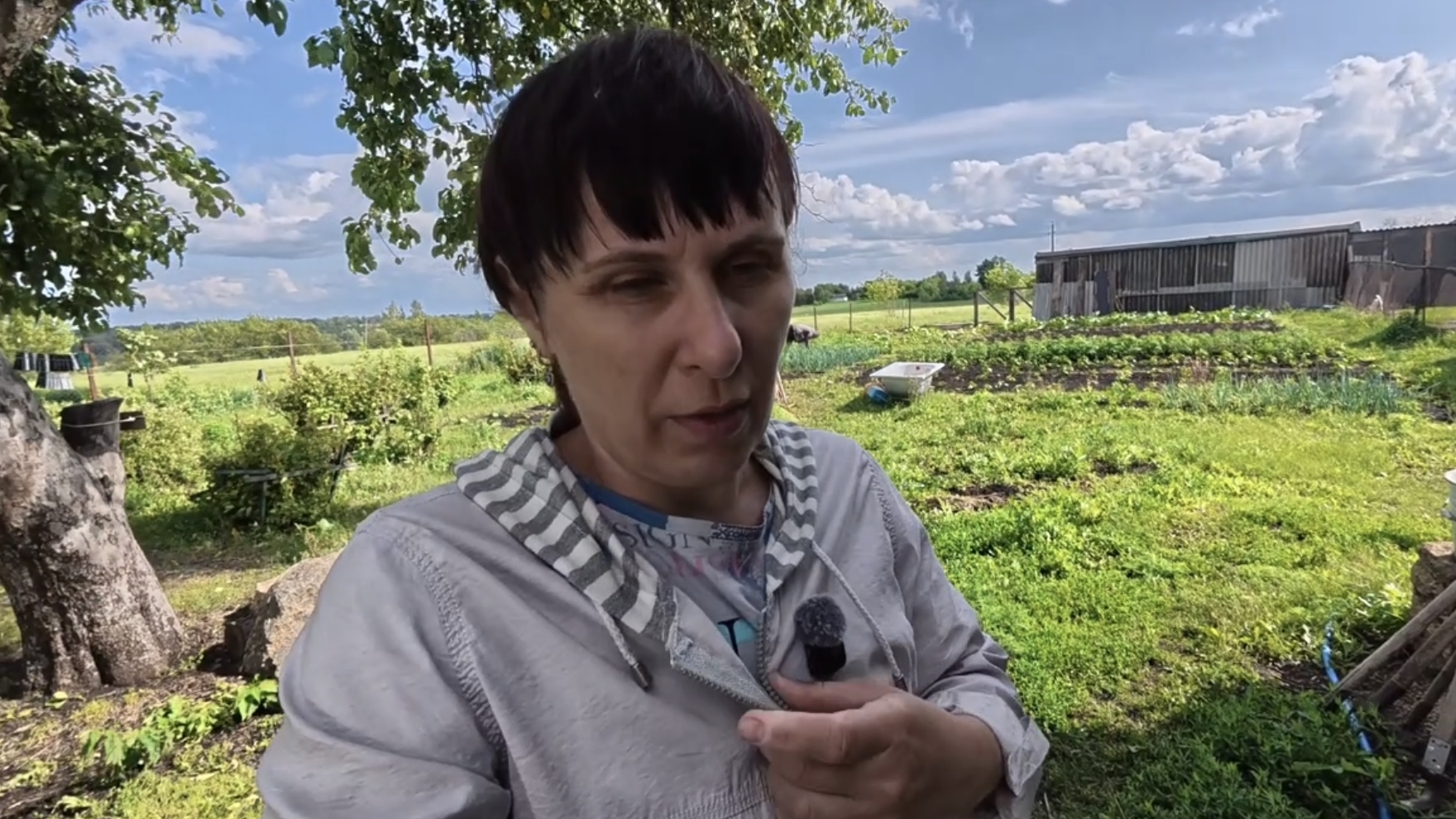 Домик у Церкви сельская жизнь. Убрала укроп, пропололи грядки. Что-то сегодня не то..