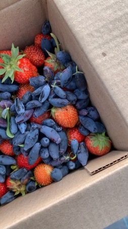Вкусы лета😍