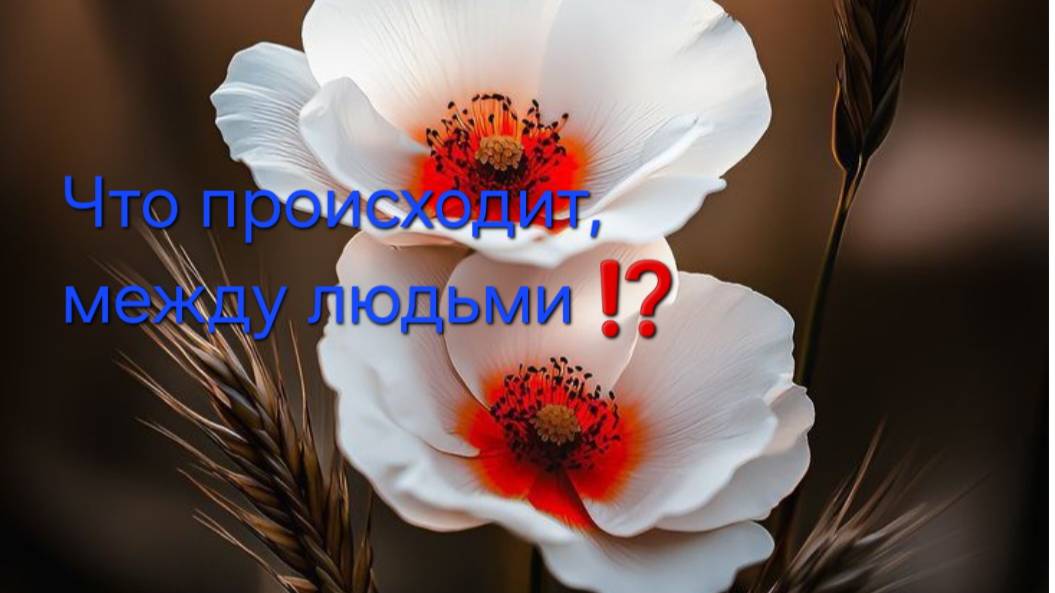 что между людьми !? мысли,планы ,развитие