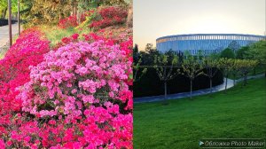 Парк Краснодар 🩷 Парк Галицкого/ лучший парк!