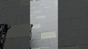 Москва соревнования  заплыв 1500метров