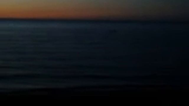 Куликово, 03 08 2013, браконьеры 1)