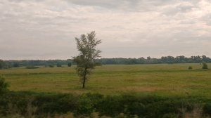Поездка на дачу, очень красивая ❤️👍#дача #путешествие