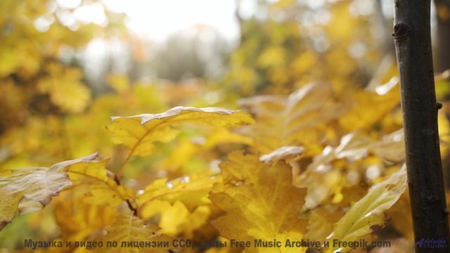 Музыка уводит туда, где начинается настоящее - Lay In The Long Grass With Me -- Hope and Social -- Y