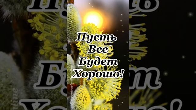 С вербным воскресеньем(1)