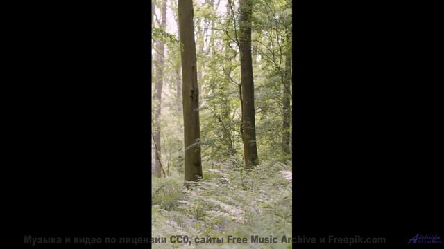 Эта композиция - объятие природы! - April Showers -- HoliznaCC0 -- Spring at last (LOFI TAPE)