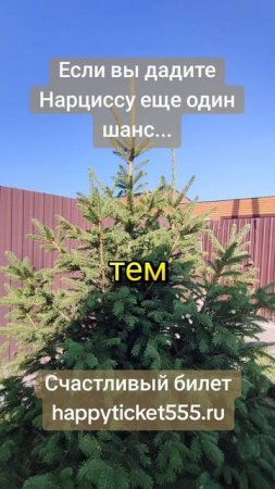 Если дать Нарциссу второй шанс...