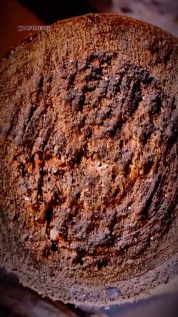 Коряга кругляк KRAFT METOD shorts