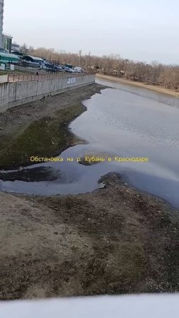 р.Кубань в г.Краснодаре