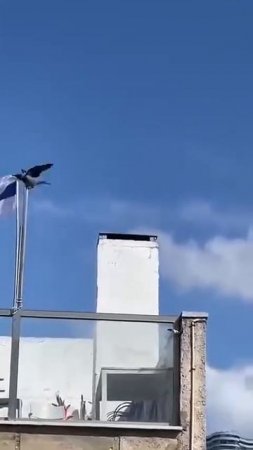 Иранский спецагент в Израиле