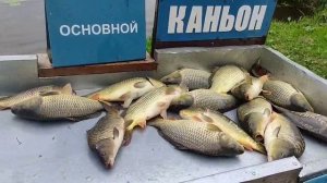 Каньон 21.06.